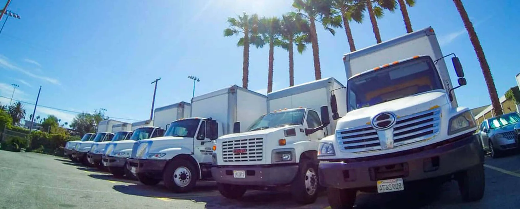 fleet of white box trucks parked in a lot with palm trees